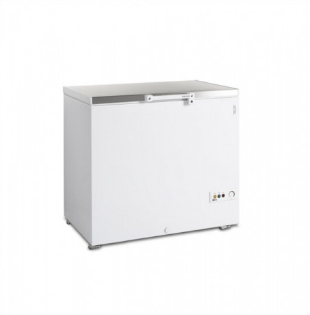 Tefcold FR 305 S